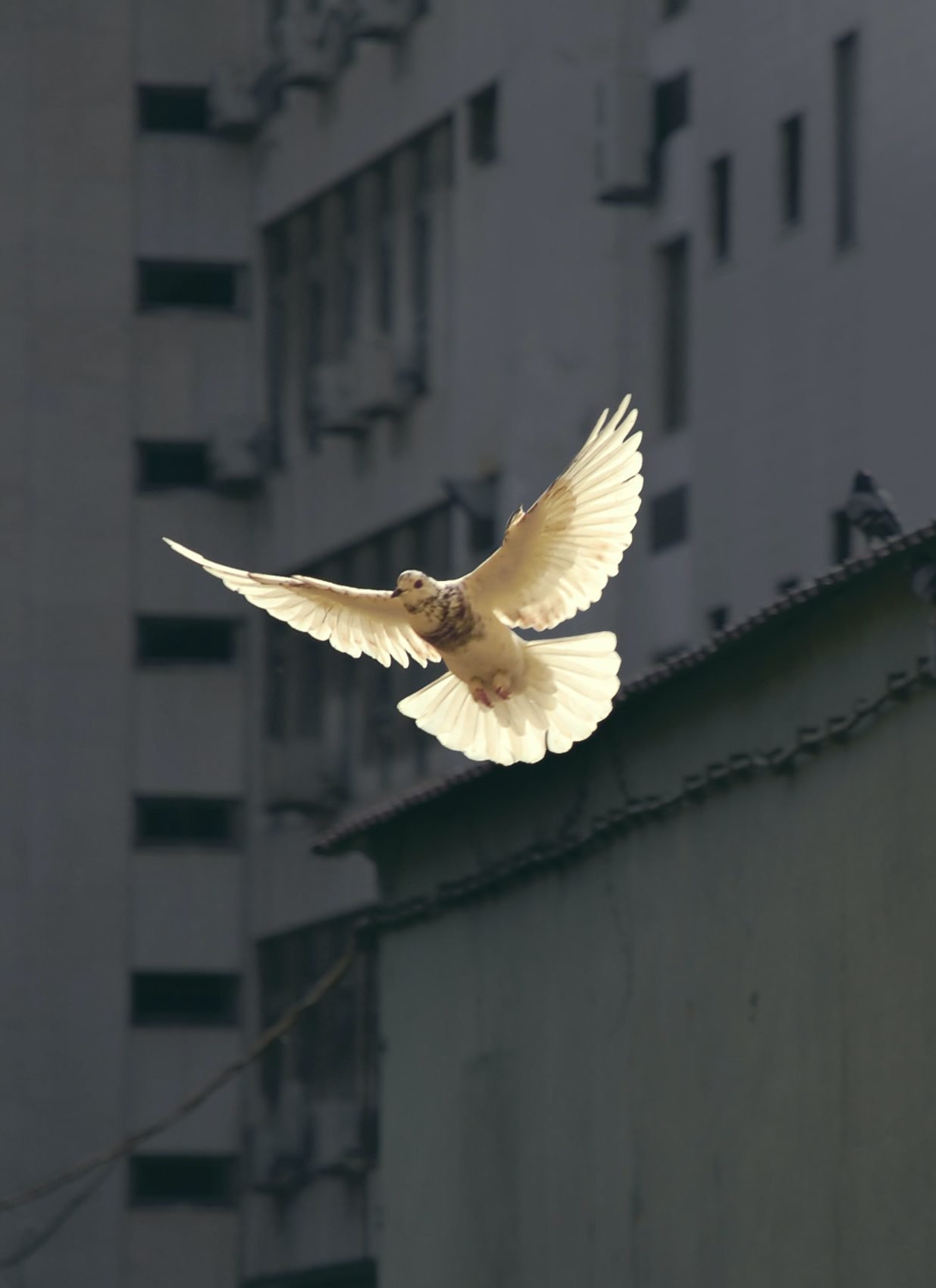 cropped-23-AGOSTO-scaled-1.jpg